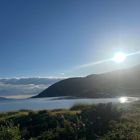 Evenes Artic Glamping Hotel Evenesmarkja Buitenkant foto